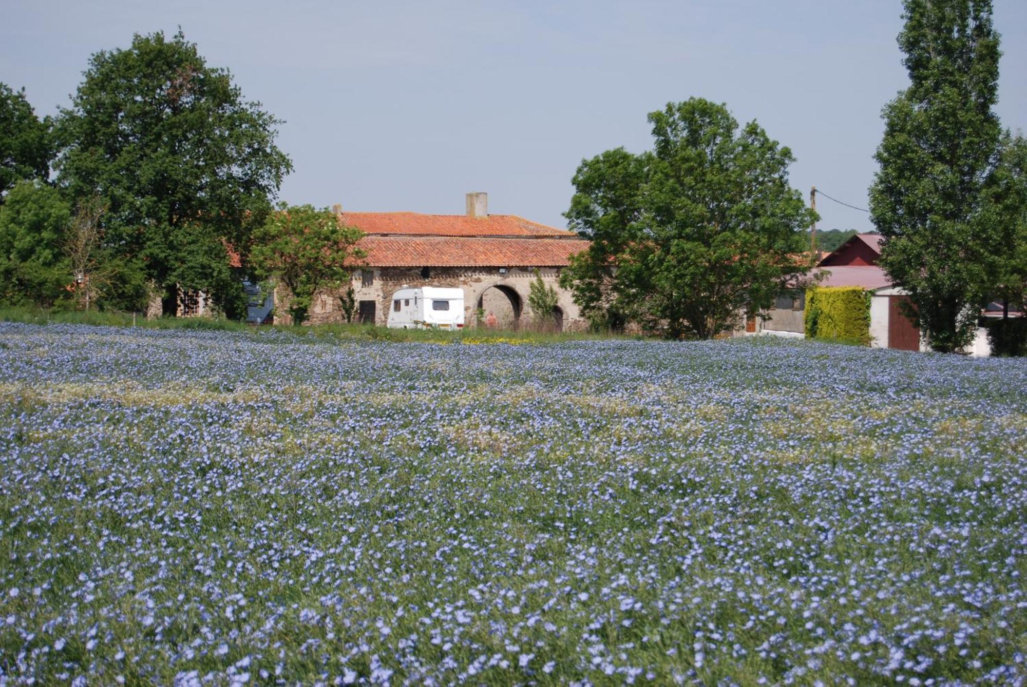 Chambre D'Hote Manoir De La Baudonniere Monsireigne Kültér fotó