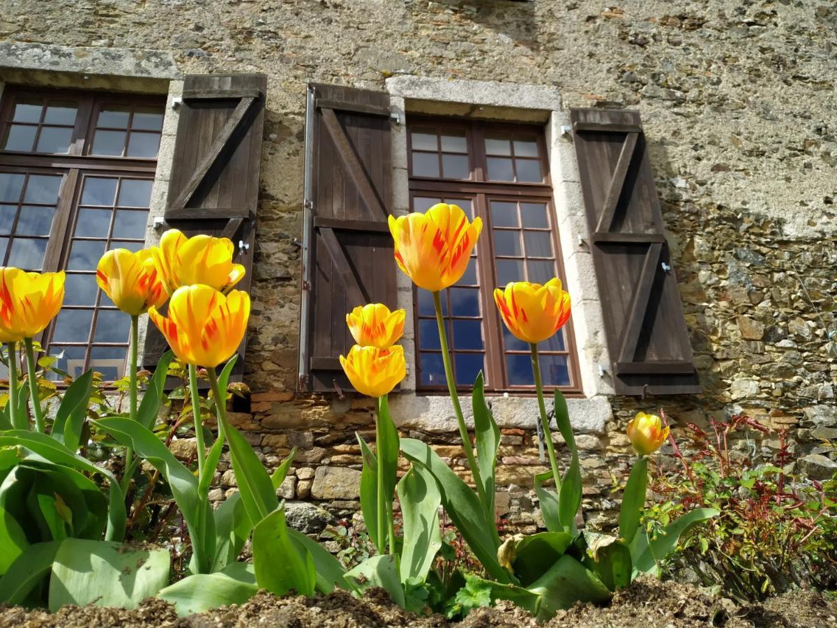 Chambre D'Hote Manoir De La Baudonniere Monsireigne Kültér fotó